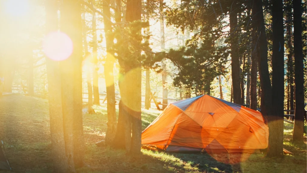 glamping czy tradycyjny camping