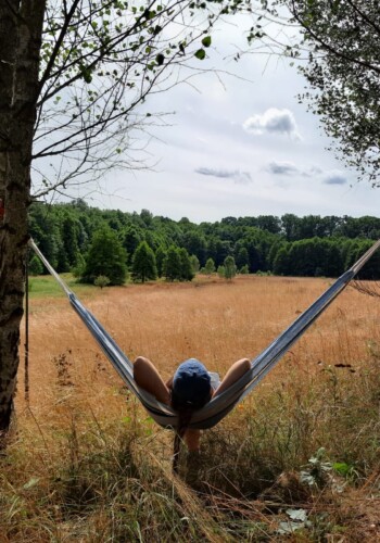 jak powstały jurty zdjęcie 4